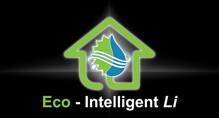 LiFePO4 Eco-Intelligent Li - Nature's Generator